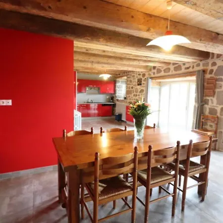 Maison De Caractere Renovee, Proche Super Lioran Avec Cheminee, Jardin Ferme Et Salle De Jeux - Fr-1-742-512 *