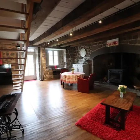 Holiday home Maison De Caractere Renovee, Proche Super Lioran Avec Cheminee, Jardin Ferme Et Salle De Jeux - Fr-1-742-512 *